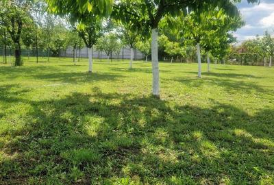 Casă cu 4 camere cu Teren 1458 Mp în Aradul Nou - 15