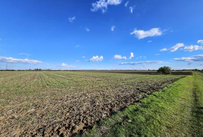 Teren Caciulati / 30.200 mp / D: 70 m / comision 0% Teren Caciulati / 30.200 mp / D: 70 m / comision 0% - 4