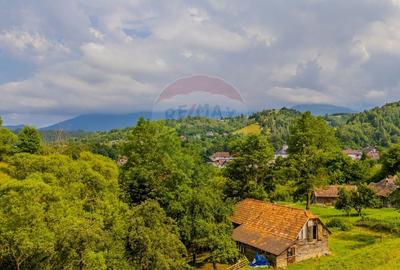 COMISION 0% Teren 11,381 mp Moieciu de Jos / Oportunitate unica - 12