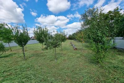 Teren de 2500 mp, în Exterior Vest - 4