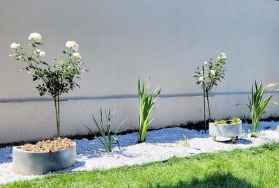 Casă cu 4 camere cu Teren 385 Mp în Central - 1