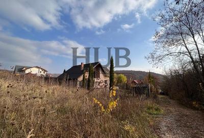 Teren Construcții extravilan de 1095 mp, în Podiș - 2