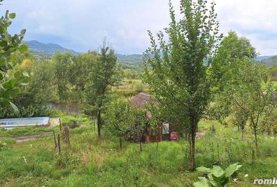 Casă cu 6 camere cu Teren 2700 Mp în Bradu - 17