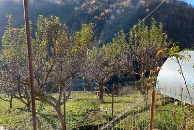 Casă cu 1 camere cu Teren 37500 Mp în Poderei - 1
