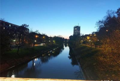 Badea cartan - garsoniera - 2