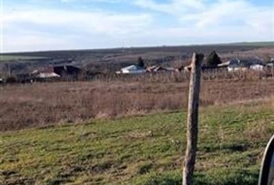 Teren TOP 1400mp /18ml stradal  Vanatori (Odaia Manolache) - 9