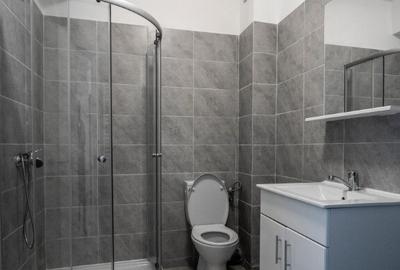 Inchiriere garsoniera Berceni Binelui - 4
