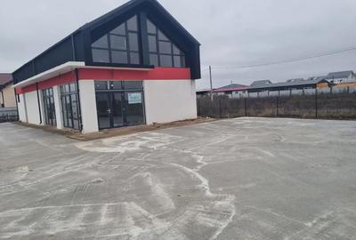 Spațiu comercial, de 300 mp, în Vidra - 10