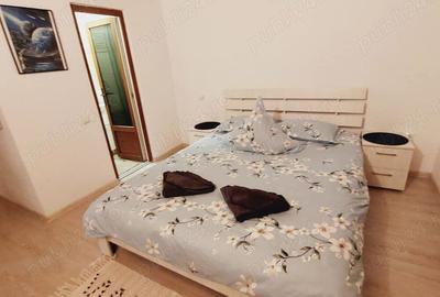 Casă cu 5 camere cu Teren 4200 Mp în Poiana Mărului - 4