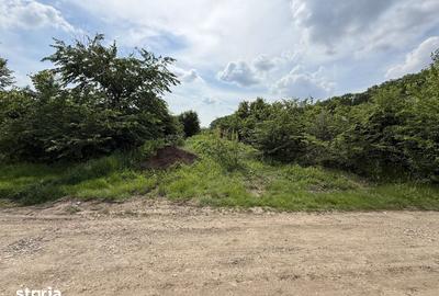Teren de 498.02 mp, în Corbeanca - 2