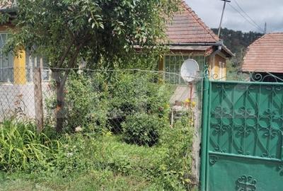 Casa la tara de vanzare, teren de 6000 mp - Cacova Ierii, Comuna Iara, Cluj - 7