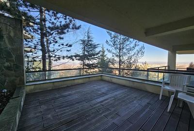 Apartament cu 2 camere decomandat, mobilat în Drumul Poienii - 16