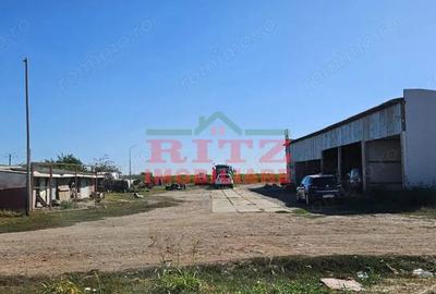 OFERTA!!! FERMA POMI FRUCTIFERI,VITA DE VIE,TEREN ARABIL SI HALA, FARCASELE 56.800 MP !!! - 20