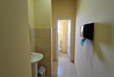 Birou, de 140 mp, în Careiului - 7