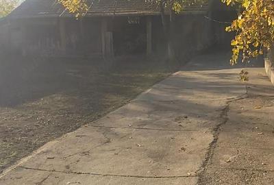 Casă cu 3 camere cu Teren 4208 Mp în Giurgița - 3