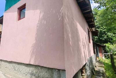 Spațiu comercial, în Răgman - 1