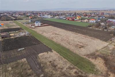 Teren Construcții intravilan de 4530 mp, în Stupini - 12