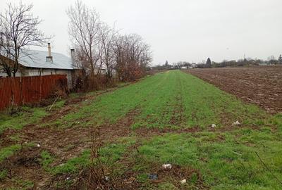 Teren Construcții intravilan de 3000 mp, în Adunații-Copăceni - 3