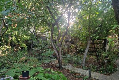 Eroii Revolutiei -  Casa  locuibila - teren 363 mp - deschidere 20.71 mp - P+1E - 21