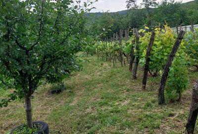 Casă cu 2 camere în Hilița - 1