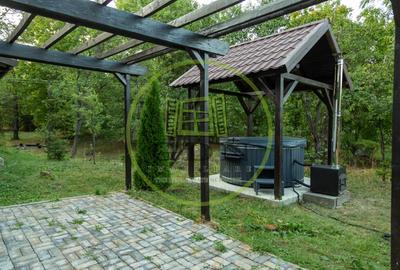 Casă individuală cu 7 camere cu Teren 3515 Mp în Bistra Mureșului - 10