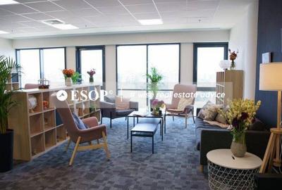 Spațiu comercial, de 750 mp, în Central - 5