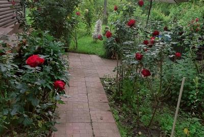 Casă cu 5 camere în Roșia de Amaradia - 7