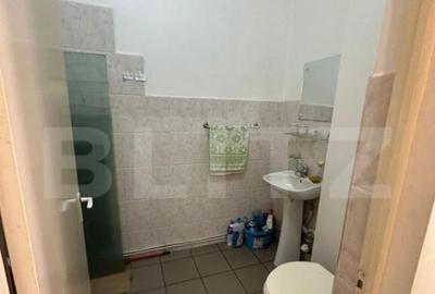 Spatiu comercial cu 4 camere, 110 mp, Alba Iulia - 12