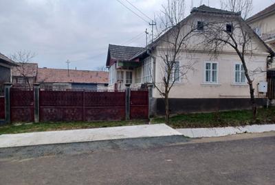 Casă cu 2 camere în Sic - 2