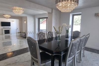 PIPERA IANCU NICOLAE VILA LUX RENOVATA COMPLET 2022 - 33