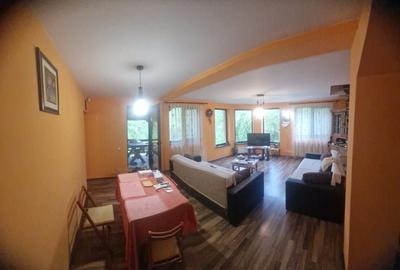 Casă cu 4 camere cu Teren 6000 Mp în Bezdead - 8