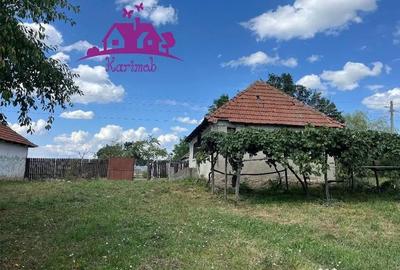 Casă cu 2 camere cu Teren 3208 Mp în Cărăndeni - 6