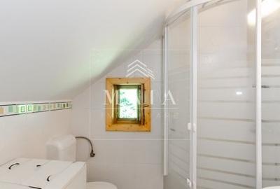 Casa 3 camere, 840 mp teren care include padure, Paltinis - 14