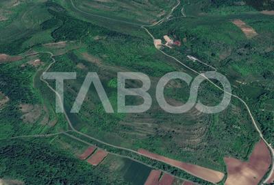 Teren agricol extravilan de 10000 mp, în Gușterița