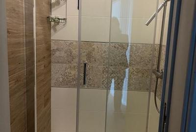 Oportunitate-Kiseleff, vila renovată D+P+E+M - 19