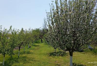 Casa individuala Ogrezeni - 5