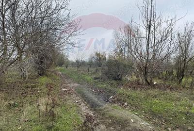 Teren Construcții intravilan de 1862 mp, în Central - 3