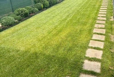 Casa cu 4 camere, panouri solare- Sacalaz - 10