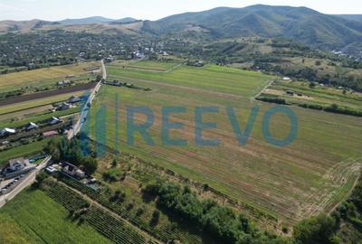Teren Construcții intravilan de 7366 mp, în Sărata (Sărata) - 1
