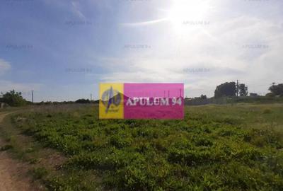 Teren de 1430 mp, în 1 Decembrie - 3