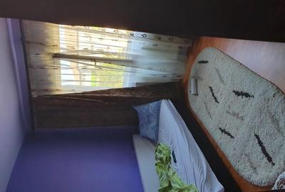 Apartament cu 2 camere decomandat în Lipovei - 2