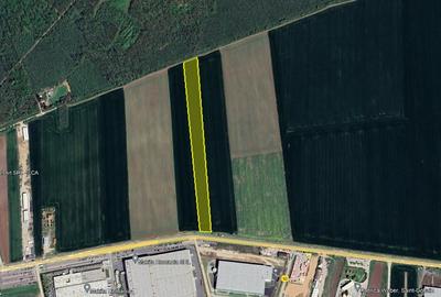 Teren Vanzare Intravilan Branesti - Investitie Zona Industriala Vis a Vis Makita - 15