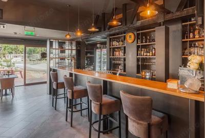 Restaurant ?i Sala Evenimente Baile Felix - 4