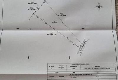 Spațiu comercial, în Secăria - 6