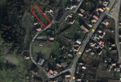 Teren de 1800 mp, în Jucu