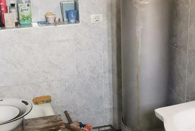 Casă cu 2 camere în Sebiș - 2