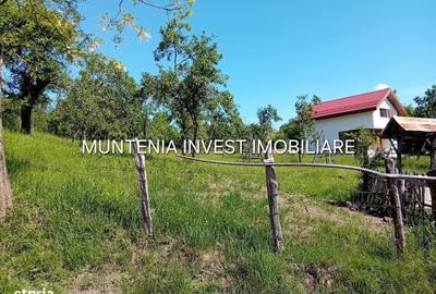 Spațiu comercial, în Brădetu - 9