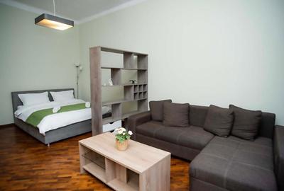 Ultracentral - Apartament 1 camera, Palatul Victoria, Piata Operei - 6