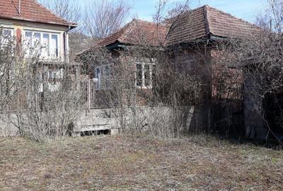 Casa + anexe + teren 4.4hectare (arabil, fine?e si padure) in Valioara - 4