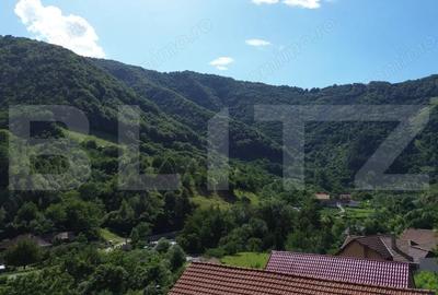 Casă cu Teren 1343 Mp în Căpâlna - 13